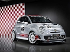 Abarth 500, Szachownica, Numer, Startowy