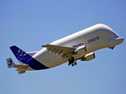 Airbus A300 Beluga, Transporter