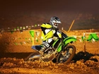 Kawasaki KX250F Monster Energy