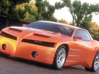 Pontiac GTO, Prototyp