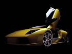 Lamborghini Murcielago, Unoszone, Drzwi