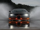 Bugatti Veyron Super Sport, Test, Woda