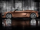 Audi R8 Spyder, Linia, Nadwozia