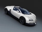 Bugatti Veyron, Dwuosobowy