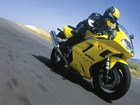 Triumph Daytona 955i, Owiewki, Kierownica