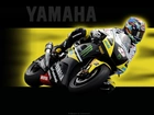 Yamaha YZF R1, Wersja, Torowa