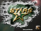 Logo, Drużyny, NHL, Dallas Stars