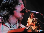 Foo Fighters,człowiek , śpiew, gitara
