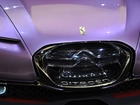 Citroen Revolte, Grill