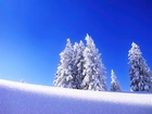 Niebieskie, Niebo, Zima, Śnieg