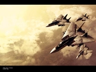 Ace Combat, Symulacja