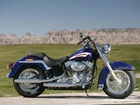 Harley Davidson Softail, Chromowane, Dekle