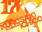 Bleach Kurosaki, Ichigo