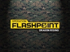 Logo, Operation Flashpoint 2