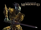 The Elder Scrolls III: Morrowind, Miecz