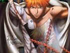 Ichigo Kurosaki, Bleach