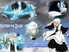 Hitsugaya, Katana, Manga, Bleach