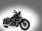 Chopper, Harley Davidson Sportster Iron 883
