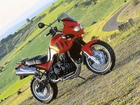 Triumph Tiger 955i