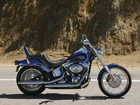 Chopper, Harley Davidson Softail Custom 
