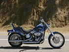 Chopper, Harley Davidson Softail Custom 

