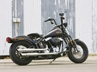 Harley Davidson Softail Cross Bones