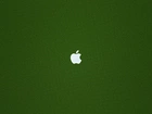 Logo, Apple, Zielona, Tekstura