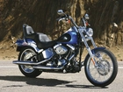 Harley Davidson Softail Custom, Chłodnica, Oleju