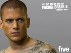 Wentworth Miller, tatuaż