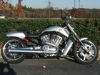 Srebrny, Motocykl, Harley Davidson V-Rod Muscle