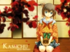 Kamichu, osoba, japonia
