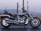 Srebrny, Harley Davidson V-Rod
