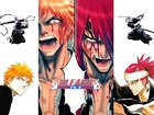 Bleach, Kurosaki, Renji, Walka