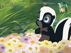 skunks, Bambi 2