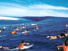 Morze, Surfing, Fala