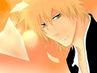 Ichigo, Kurosaki, Bleach