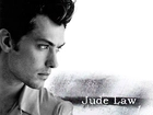 Jude Law,profil twarzy