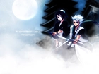 Hitsugaya, Hinamori, Bleach