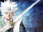 Hitsugaya, Toshiro, Katana