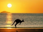 Kangur, Zachód, Słońca, Morze, Plaża