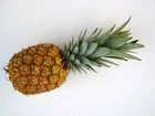 Ananas, Zielony, Pióropusz