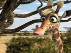 Safari 3D, Żyrafa, Żizel