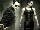 Arjun Rampal, Indyjski, Matrix