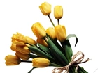 Wiązanka, Żółtych, Tulipanów