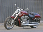 Harley Davidson V-Rod Muscle, Wloty, Powietrza