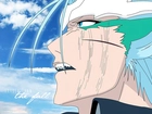 Grimmjow, Espada, Numer 6