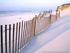 Płotek na Plaży