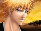 Bleach, Ichigo, Twarz