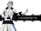 Grimmjow, Espada, Numer 6