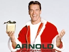 Arnold Schwarzenegger, Prezent